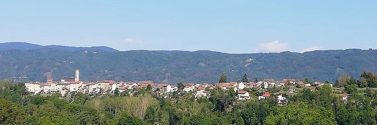 Image Monte escalier Arlanc