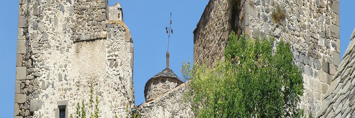 Image Monte escalier Saint-Diéry