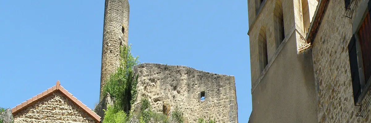 image-monte-escalier-saint-floret.webp Image Monte escalier Saint-Floret
