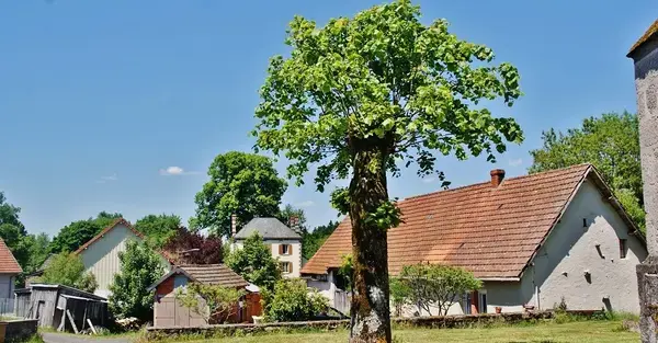 Monte Escalier 63 Monte escalier Verneugheol